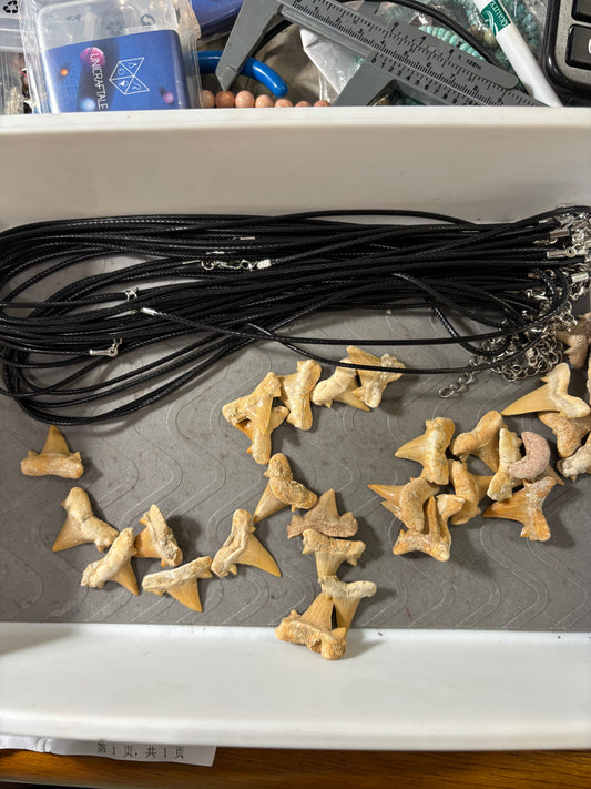 2025 9-19 Shark Teeth wholesale price