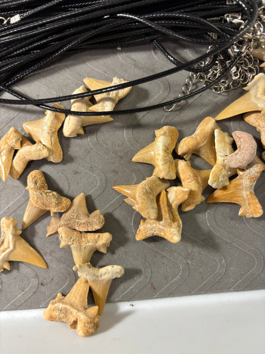 2025 9-19 Shark Teeth wholesale price